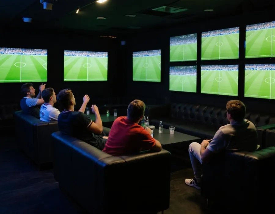 观看世界杯比赛直播的场景示意图